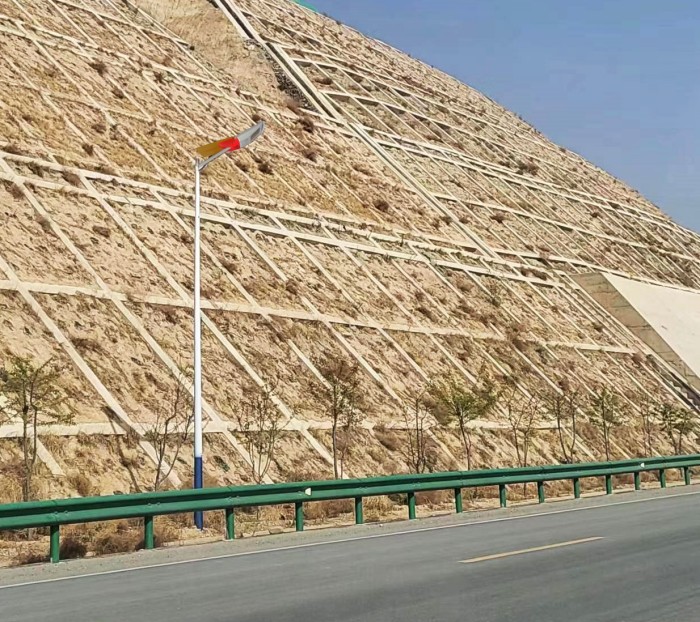 凤凰灯国道2.jpg